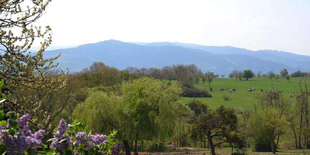 Domaine Du Neufeld Ξενοδοχείο Oberhaslach Εξωτερικό φωτογραφία