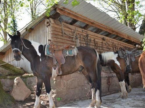 Domaine Du Neufeld Ξενοδοχείο Oberhaslach Εξωτερικό φωτογραφία