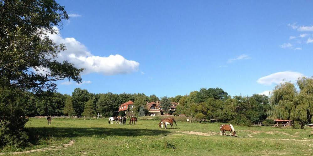 Domaine Du Neufeld Ξενοδοχείο Oberhaslach Εξωτερικό φωτογραφία